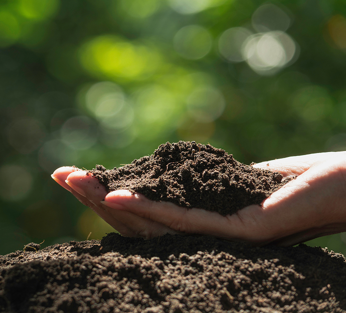 Hand holding fertilized soil